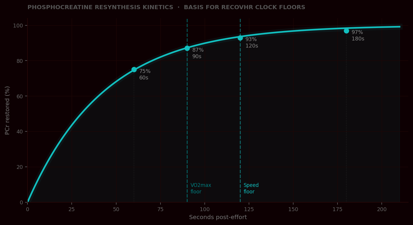 PCr resynthesis